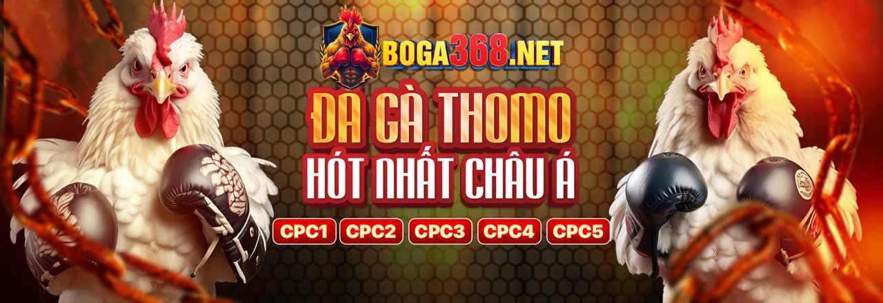 Sân đấu đá gà trực tuyến sôi động tại ACB88